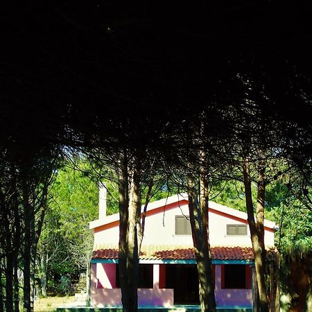 Pineta Spiaggia Grande Calasetta Dış mekan fotoğraf