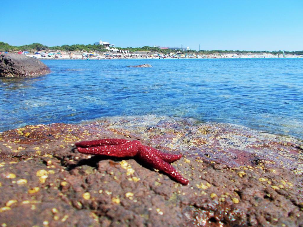 Pineta Spiaggia Grande Calasetta Dış mekan fotoğraf
