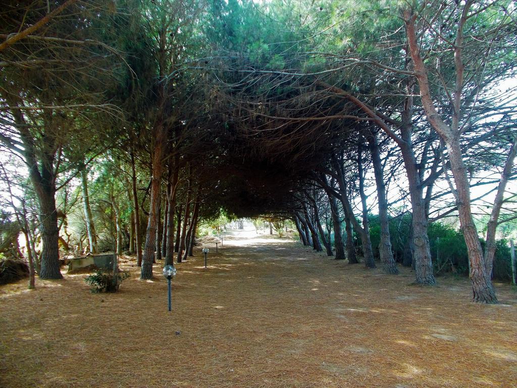 Pineta Spiaggia Grande Calasetta Dış mekan fotoğraf